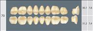 WIEDENT  A2 70L